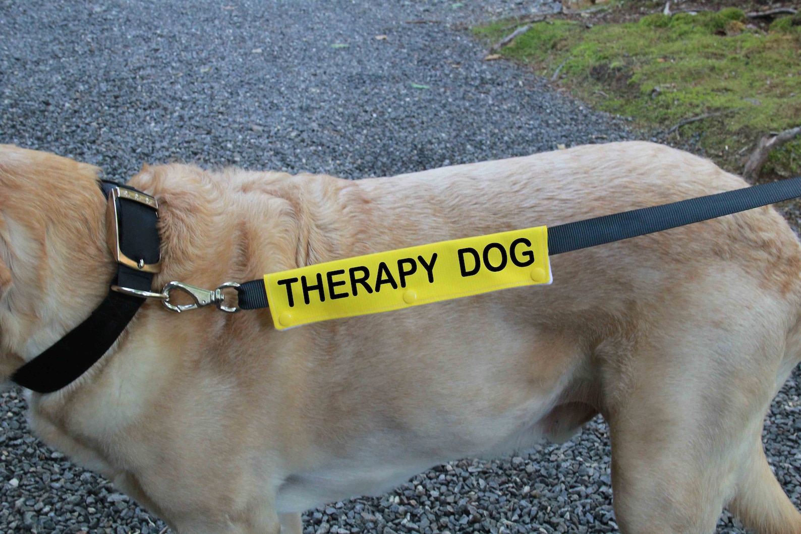 Dog Leash Sleeve THERAPY DOG leash wrap Therapy Dog Gear Etsy