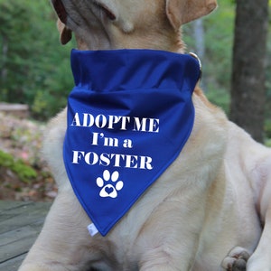 Adopt Me I'm a Foster Dog Over the Collar Bandana | CANVAS FABRIC