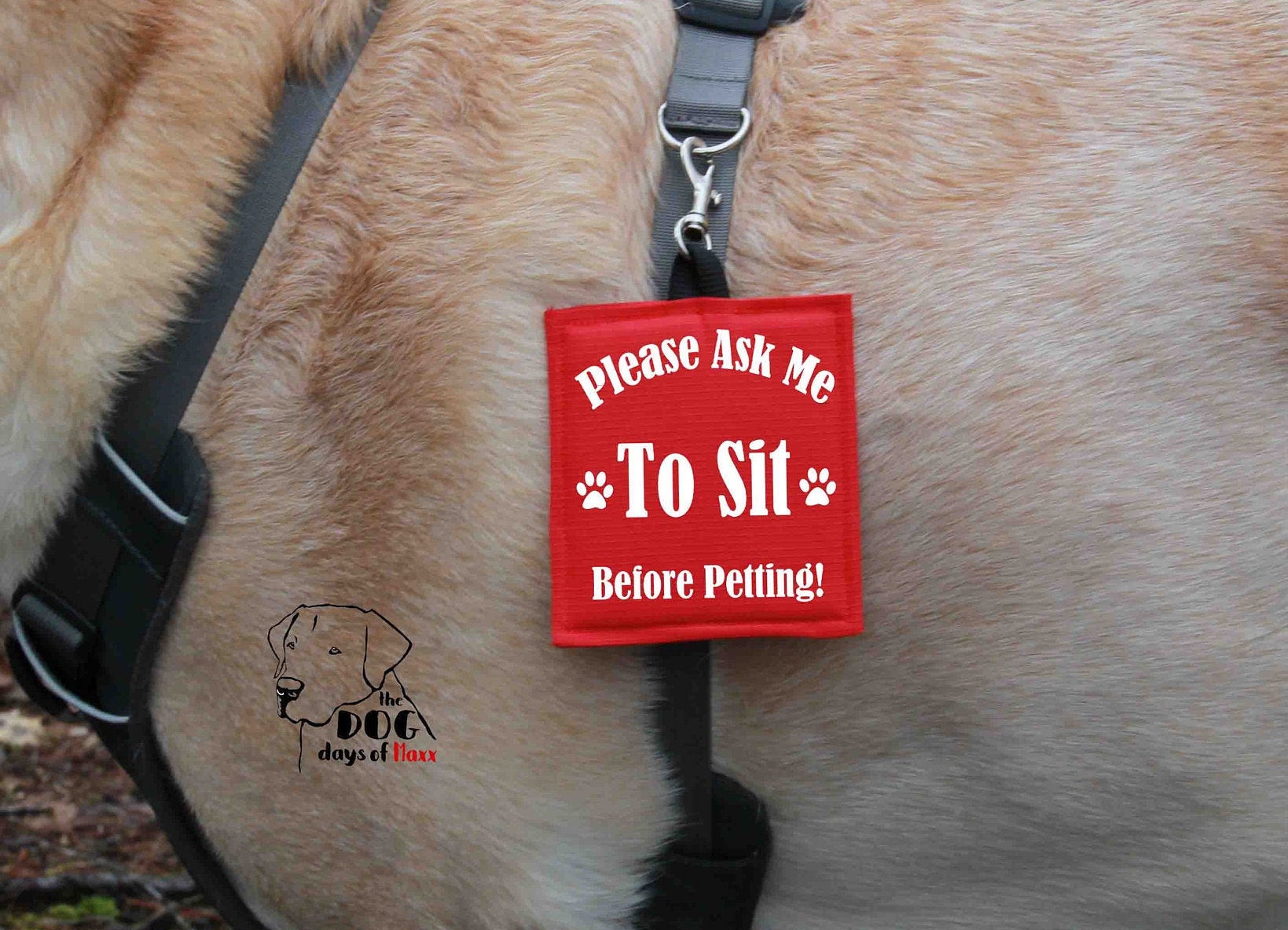 Please Ask to Pet Me Sew On Service Dog Patch for Vest or Harness