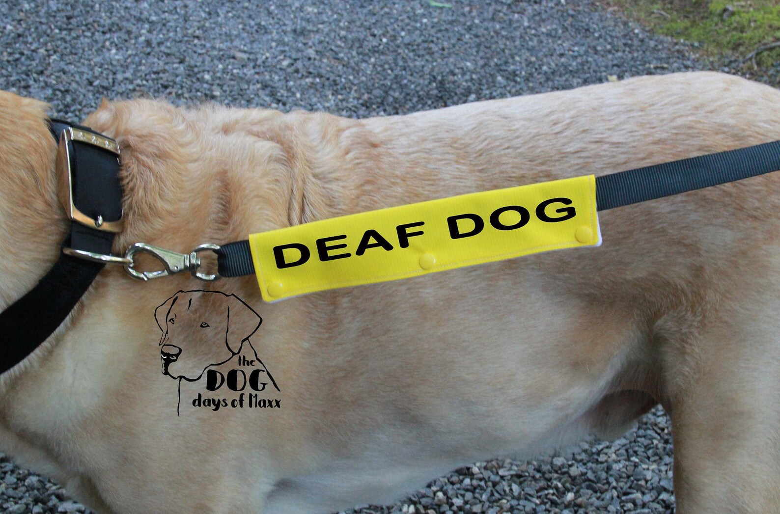 DEAF DOG Leash Wrap Dog Leash Sleeve Leash Wrap Deaf Dog Etsy