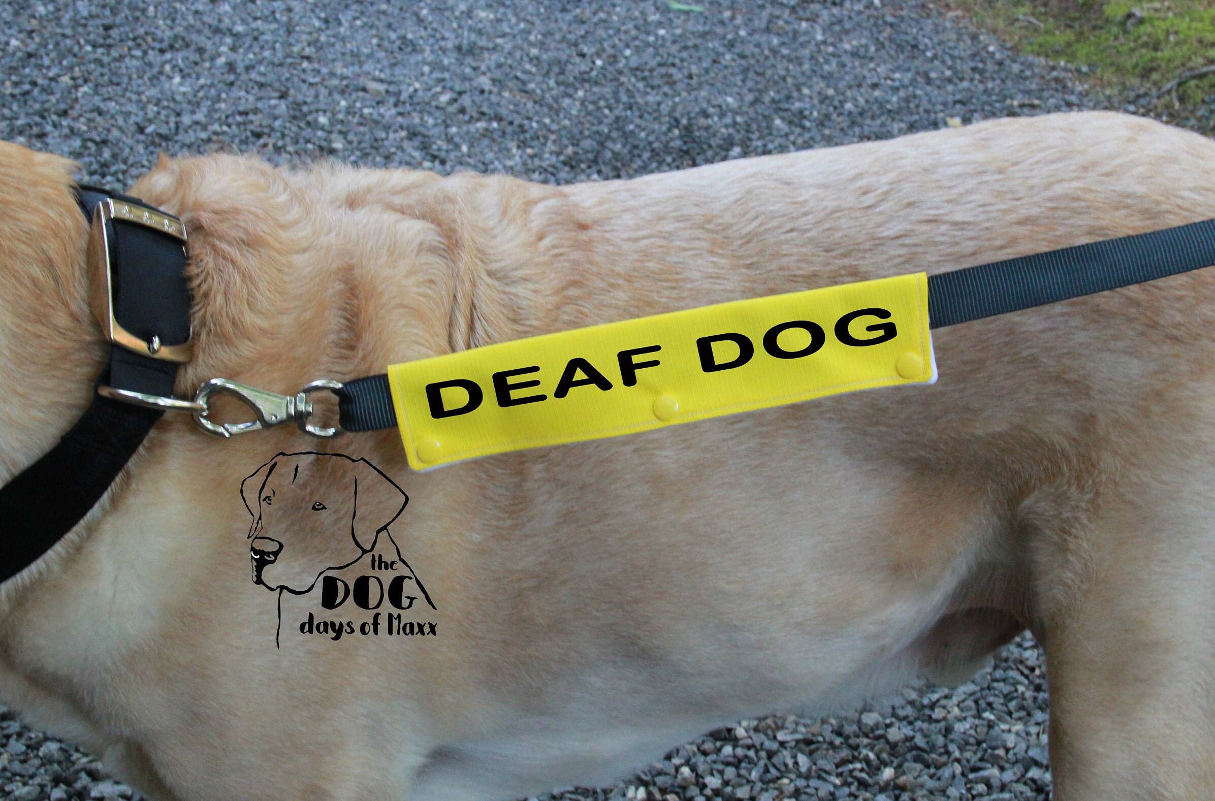 Dog Leash Sleeve Leash wrap Slim Size Deaf Dog 3 snaps Etsy