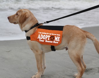 Personalized Adopt Me Dog Vest | Canvas