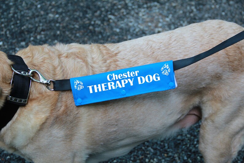 Leash sleeve or collar wrap Therapy Dog Leash wrap Etsy