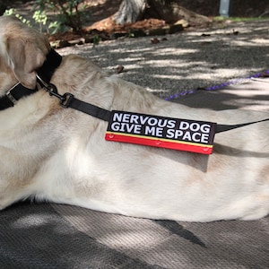 Printed Nervous Dog Give Me Space Leash Wrap: Outdoor Fabric