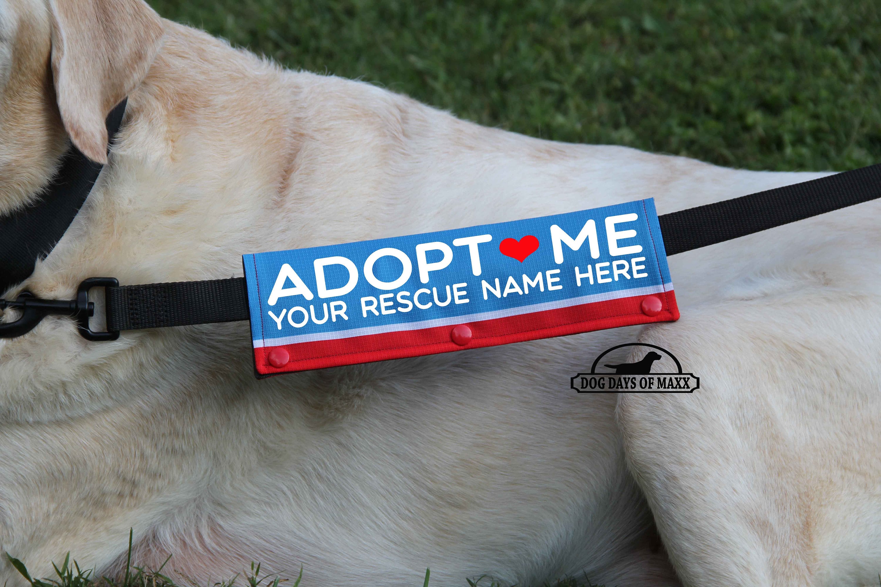 Personalized Adopt Me Printed Leash Wrap: Outdoor Fabric