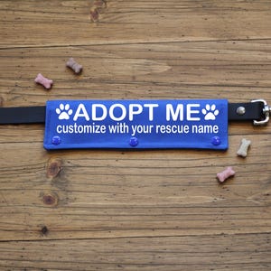 May include: A blue dog leash attachment with the words "ADOPT ME" and "customize with your rescue name" in white. The attachment has paw print designs and is secured with three blue buttons. A black leash and silver clasp are attached. Dog treats are scattered around.