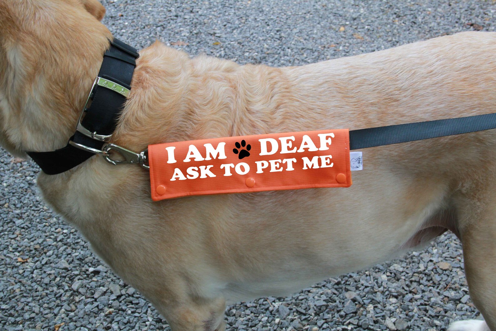 Leash sleeve or collar wrap Deaf Dog Leash wrap Multi Etsy