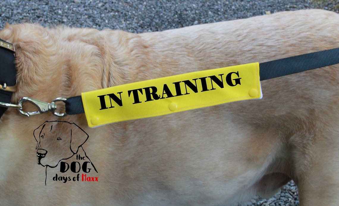 Leash wrap In Training Leash Sleeve Slim size Fits 1 Etsy