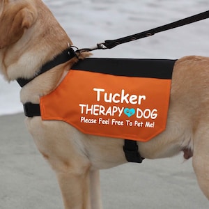 Personalized Therapy Dog Vest: Custom Name, Durable Outdoor Fabric