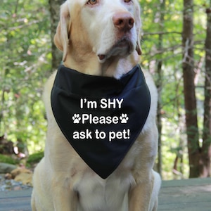 I&#39;m shy Dog Over the Collar Bandana | CANVAS FABRIC