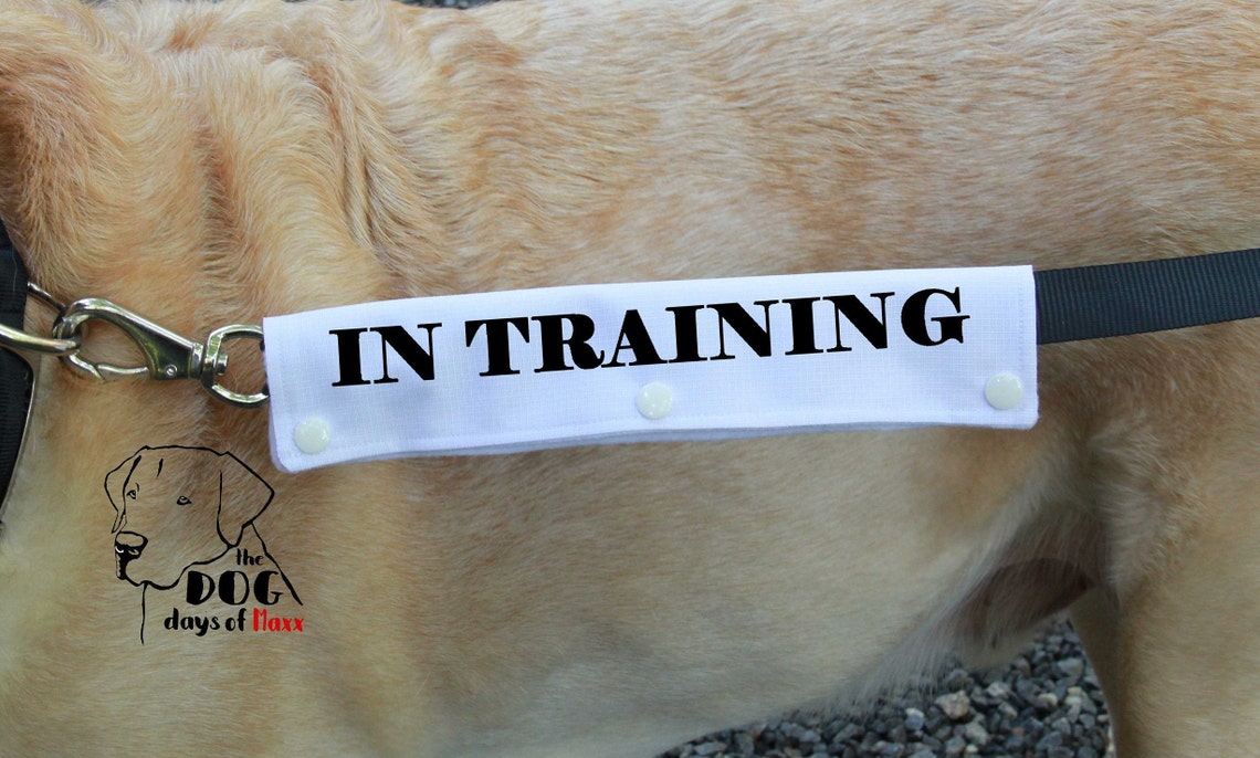 Leash wrap In Training Leash Sleeve Slim size Fits 1 Etsy