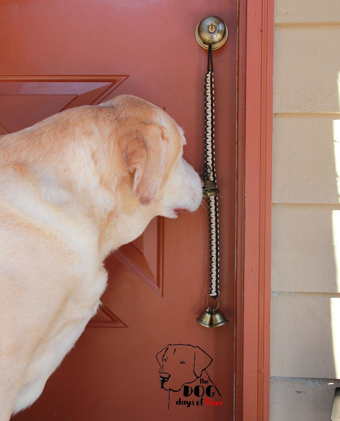 Doggy Door bells Potty Door Bell Puppy Training Bells Etsy