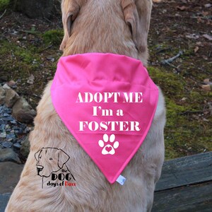 Op de afbeelding: Een roze hondenbandana met witte tekst die "Adopteer mij, ik ben een pleegdier" zegt en een witte voetafdruk met een rood hart. De bandana wordt gedragen door een golden retriever.