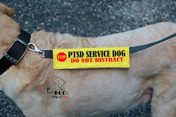 ptsd dog harness