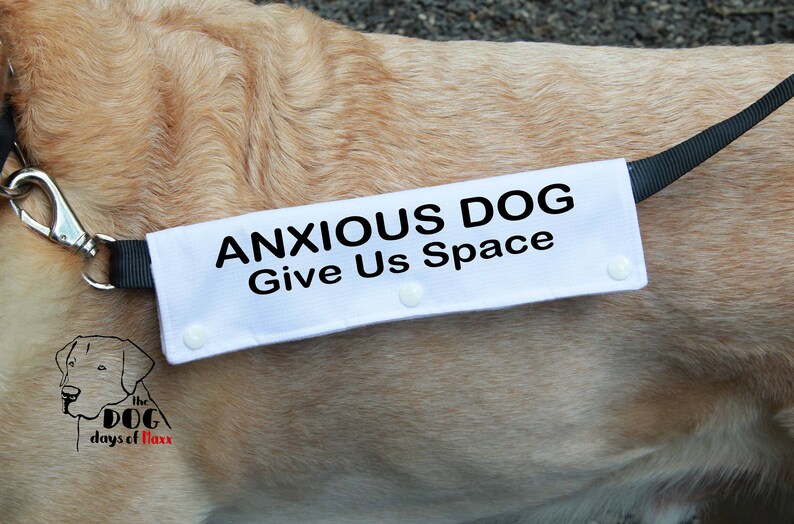 Anxious Dog Leash Wrap Leash sleeve Classic Size Leash Etsy