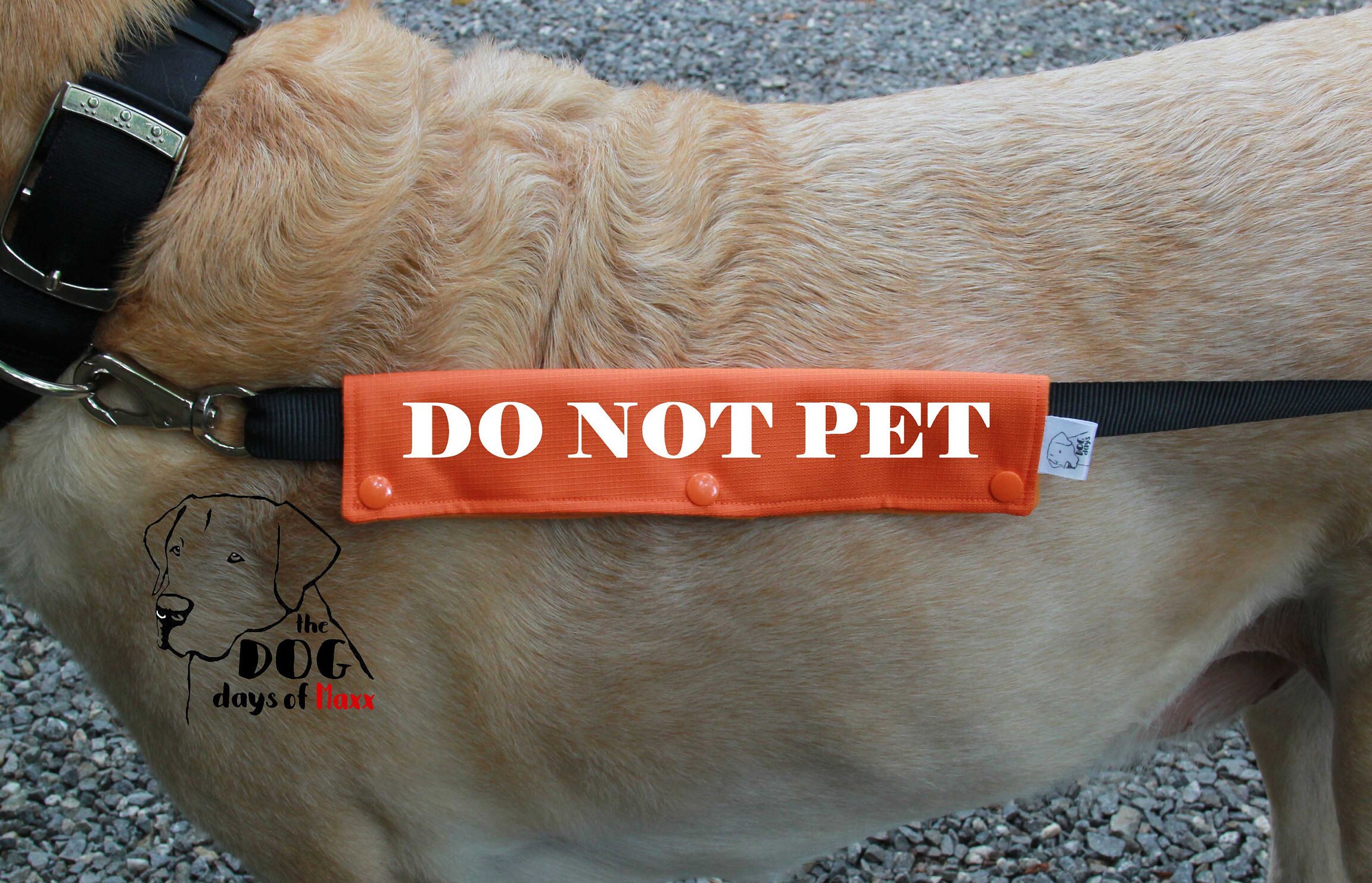 Dog Leash Sleeve DO NOT PET leash wrap 3 Size Options Do Etsy