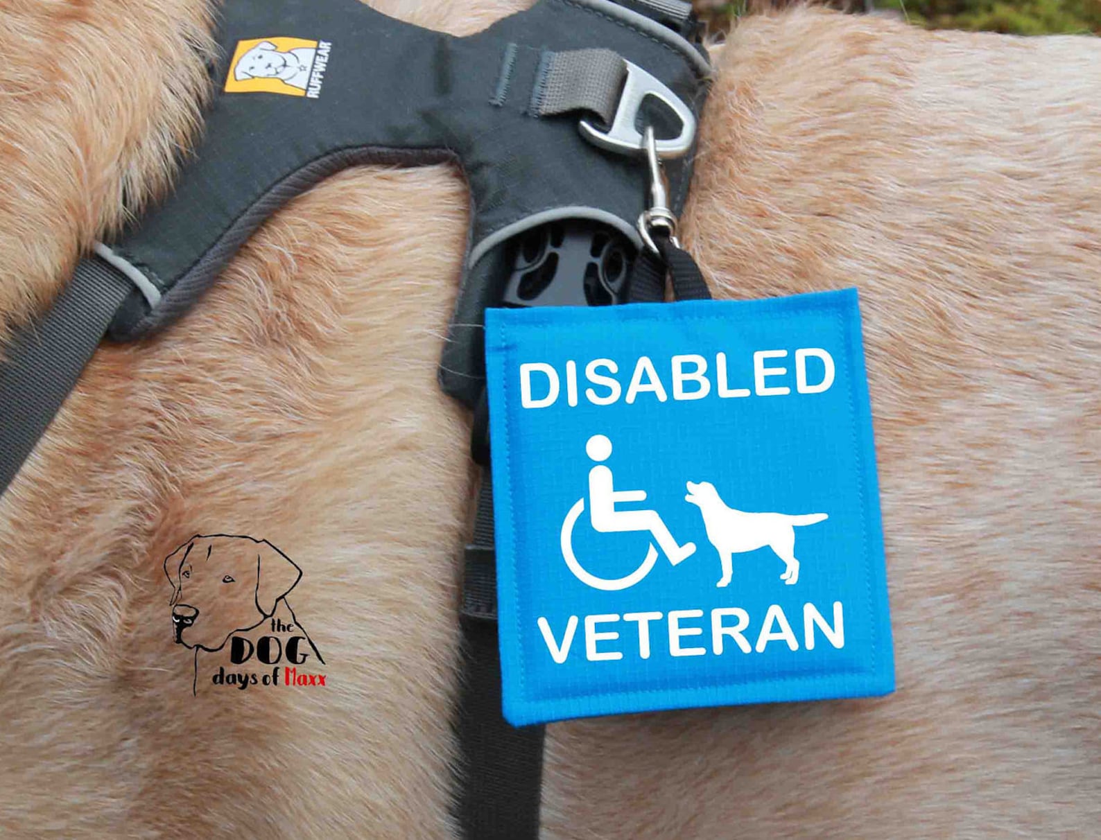 Disabled Veteran Service Dog Alert Hang Tag Disabled Veteran Etsy