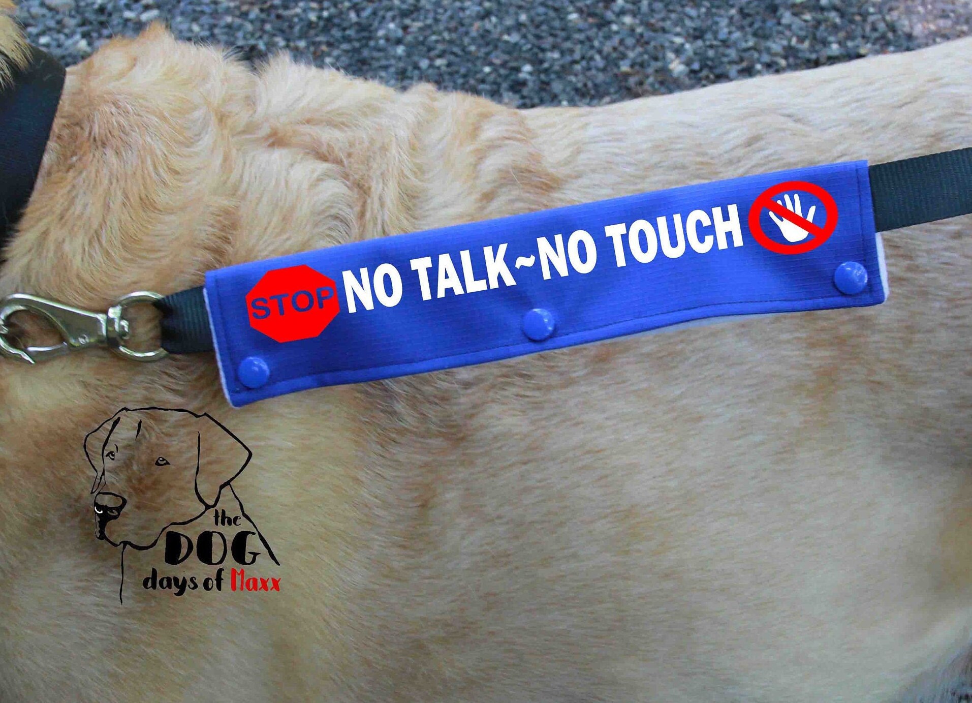 Dog Leash Sleeve Slim Size Leash wrap No Talk No Touch Fits Etsy