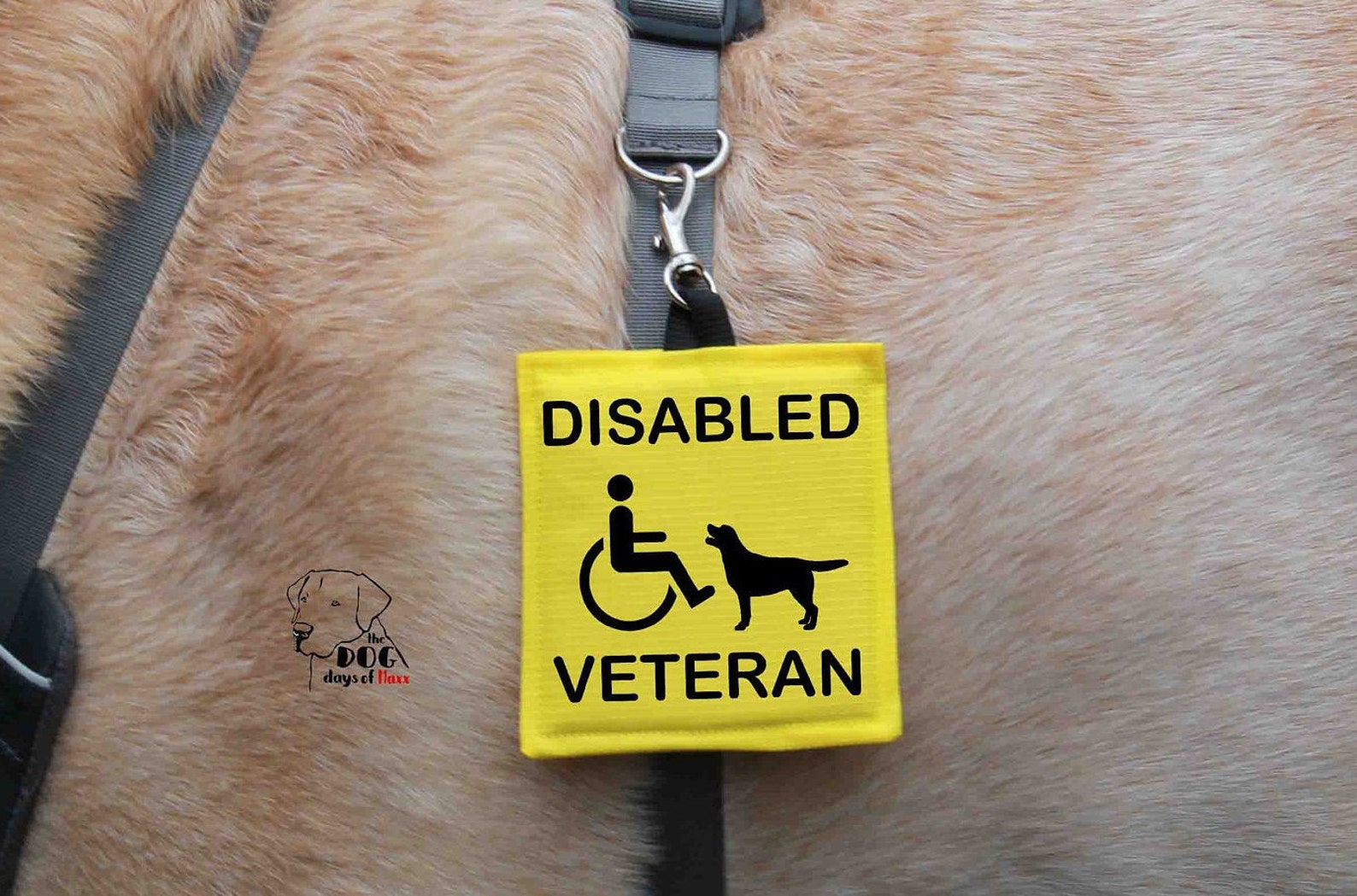 Disabled Veteran Service Dog Alert Hang Tag Disabled Veteran Etsy