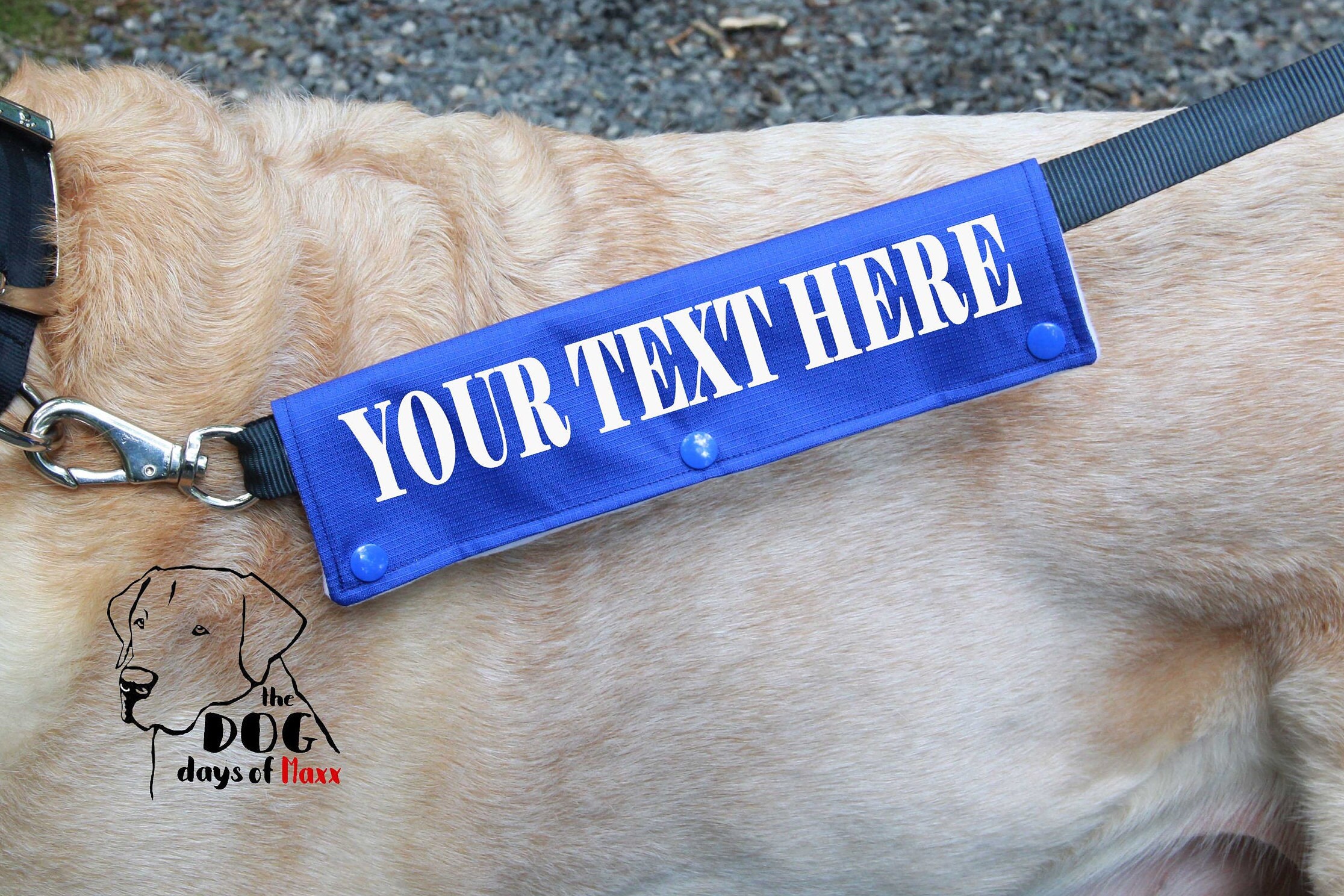 Leash sleeve Dog Leash wrap Classic size in 8 color options Etsy