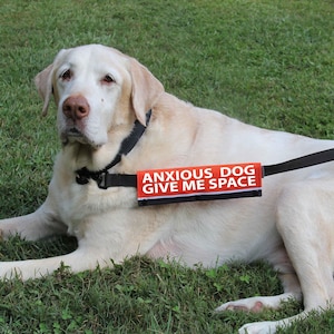 Printed Leash Wraps for Anxious Dogs: Outdoor Fabric