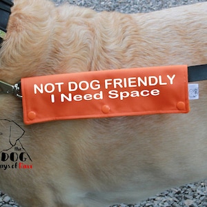 Dog Leash Sleeve, NOT DOG FRIENDLY I Need Space, Leash wrap,
