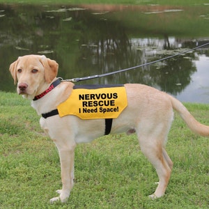 Nervous Rescue Dog Vest: Canvas Fabric