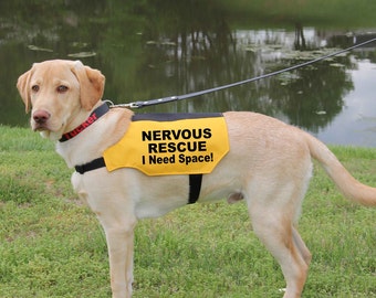 Dog Vest, Nervous Rescue I Need Space Vest