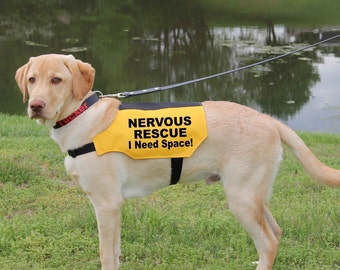 Nervous Rescue Dog Vest: Canvas Fabric, Rescue and Scared Dogs