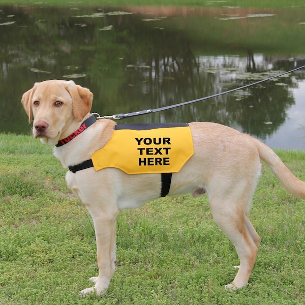 Personalized Dog Vest, Customizable with your text Dog Vest