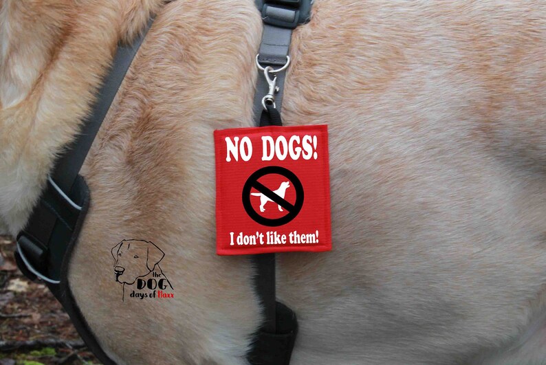 Reactive Dog Warn-Patch – 'Keine Hunde / Nicht Streicheln' – 8 X 9 Cm, Mit Clip – Für Halsband, Geschirr Oder Rucksack