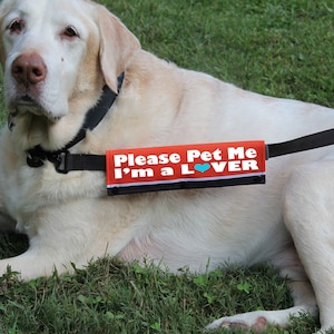 Please Pet Me Dog Leash Sleeve: Handmade Leash Wrap