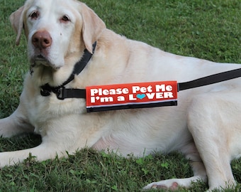 Please Pet Me I'm a Lover Dog Leash Sleeve: Handmade Leash Wrap