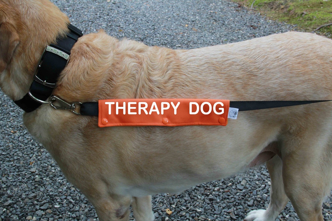 Dog Leash Sleeve THERAPY DOG leash wrap Therapy Dog Gear Etsy