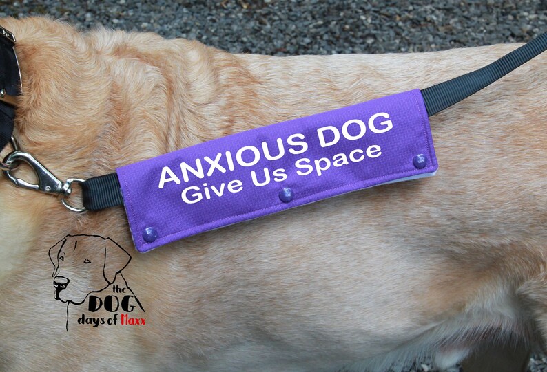 Anxious Dog Leash Wrap Leash sleeve Classic Size Leash Etsy