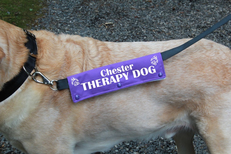 Leash sleeve or collar wrap Therapy Dog Leash wrap Etsy