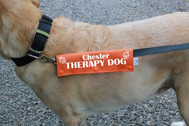 Leash sleeve or collar wrap Therapy Dog Leash wrap Etsy
