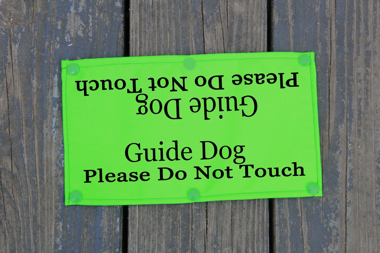 Guide Dog Please Do Not Touch Leash Sleeve Classic Size Etsy