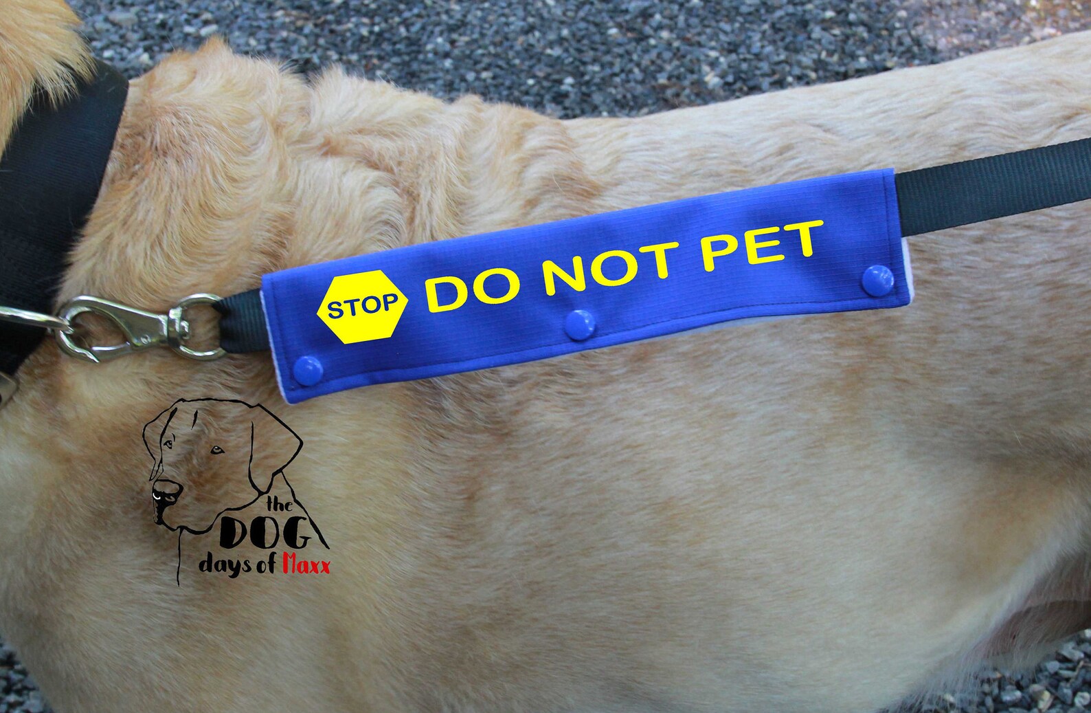Dog Leash Sleeve DO NOT PET Leash Wrap Stop Do Not Pet Etsy