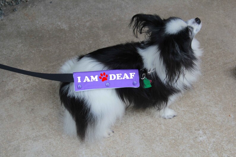 Dog Leash Wrap Leash Sleeve I'M Deaf Mini Size 9 Color Etsy