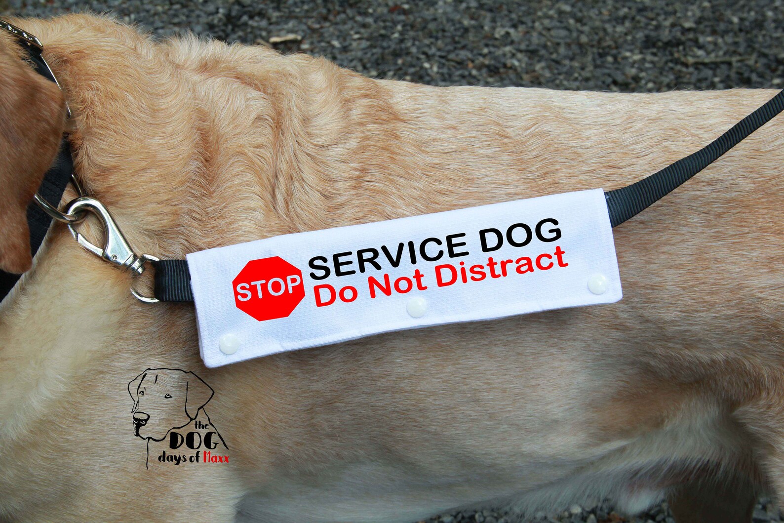 Service Dog Leash Wrap Leash Sleeve Service Dog Gear Multi Etsy