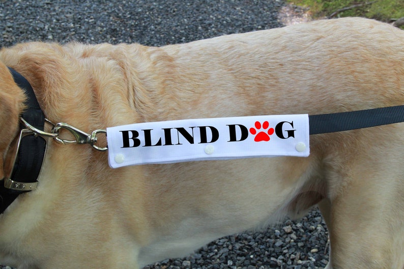 Dog Leash Sleeve Blind Dog with paw print leash wrap Slim Etsy