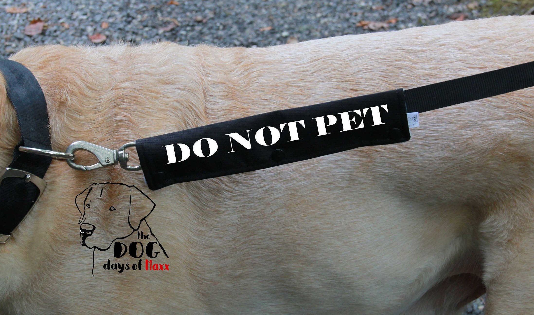 Dog Leash Sleeve DO NOT PET leash wrap 3 Size Options Do Etsy