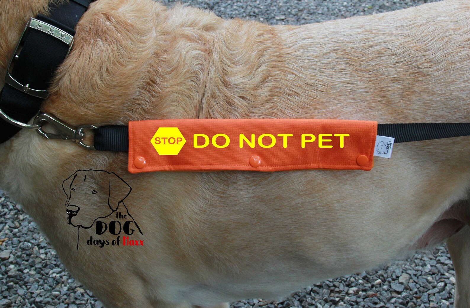 Dog Leash Sleeve DO NOT PET leash wrap Slim Size Fits Etsy