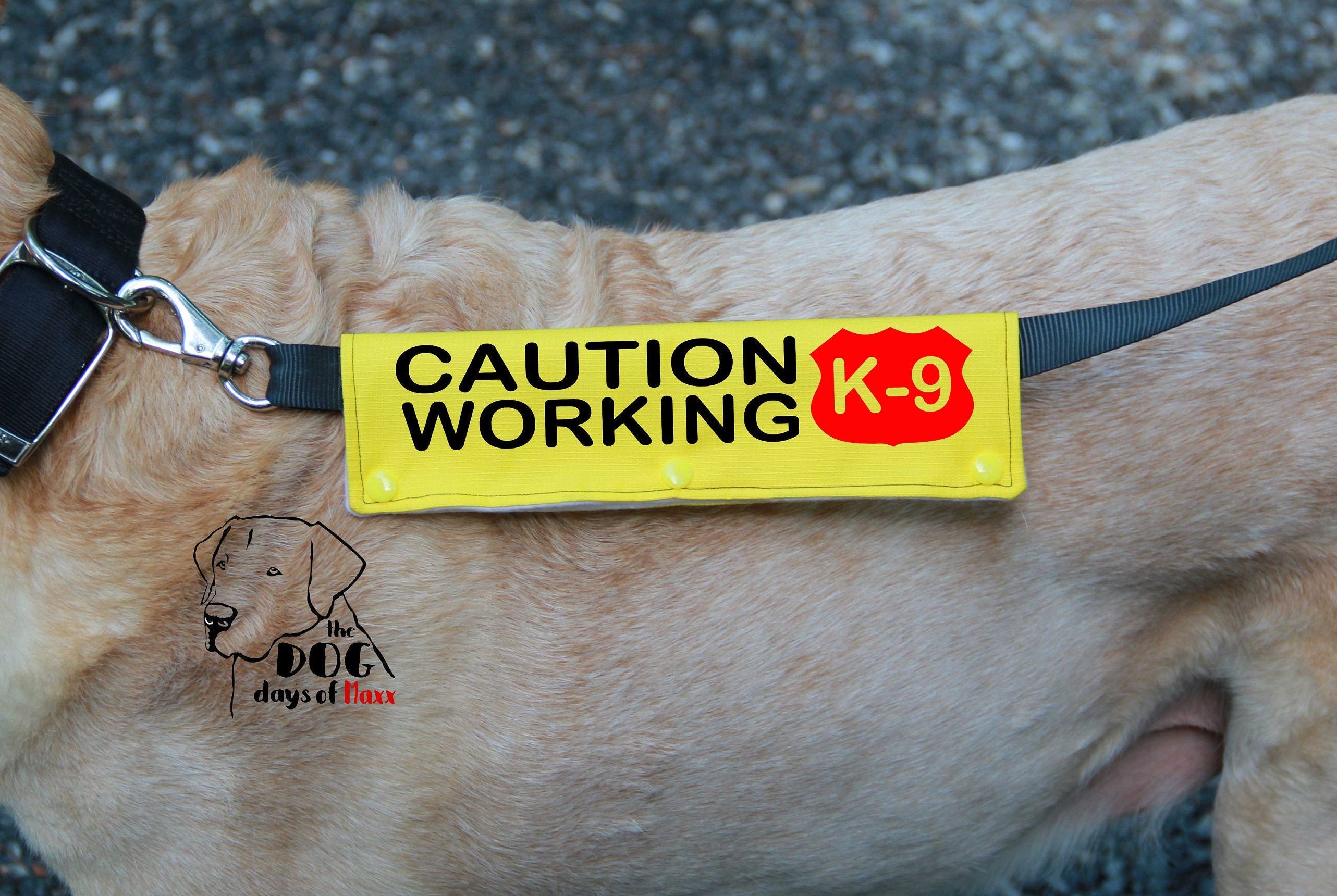 Service Dog Leash Sleeve Caution Working K9 Classic Size Etsy