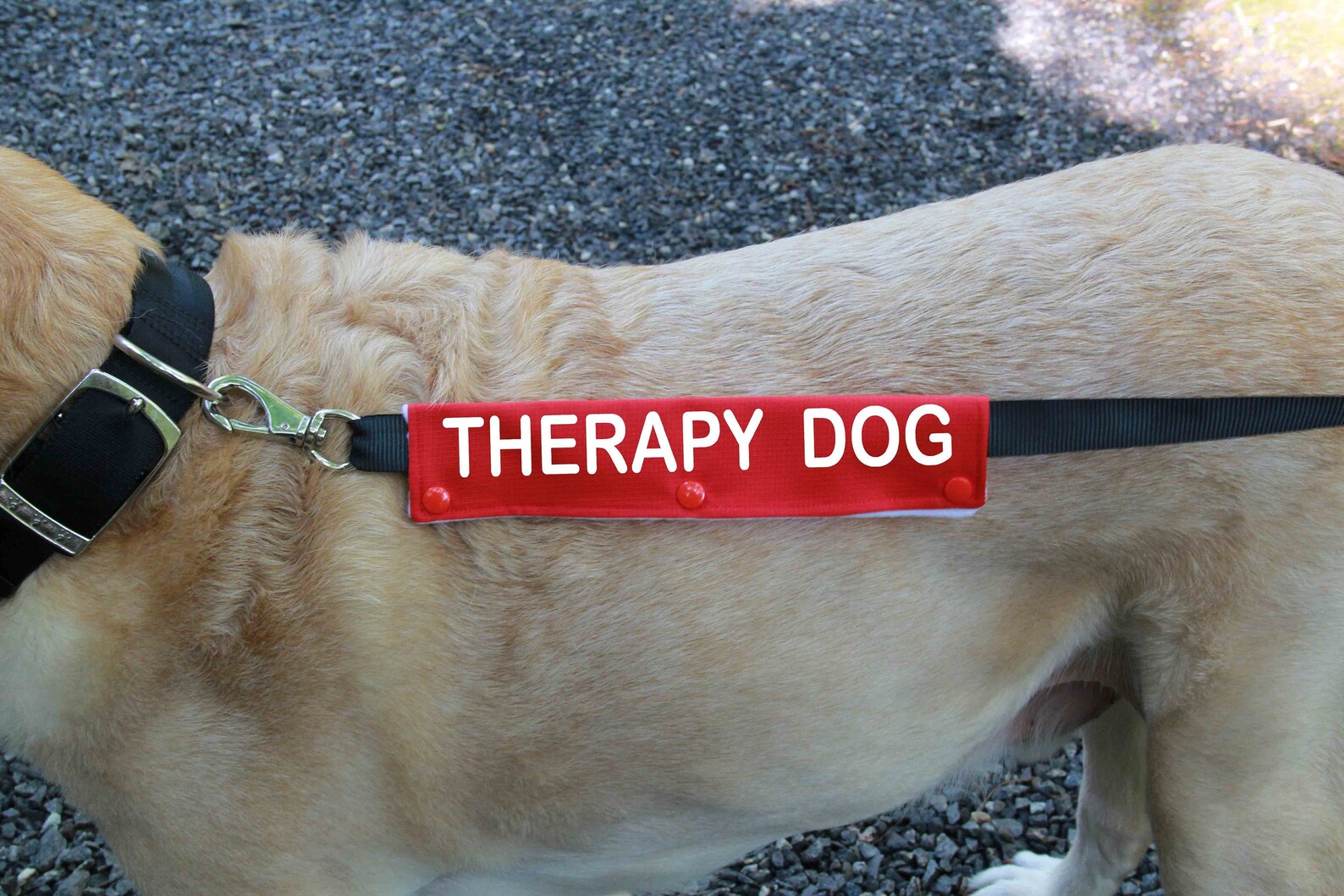 Dog Leash Sleeve THERAPY DOG leash wrap Therapy Dog Gear Etsy