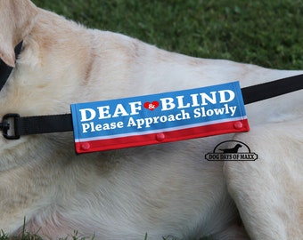 Può includere: Un'imbracatura per cani blu e rossa con il testo "DEAF & BLIND Please Approach Slowly" e un simbolo di cuore rosso. L'imbracatura ha una cinghia nera e un logo che dice "DOG DAYS OF MAXX".