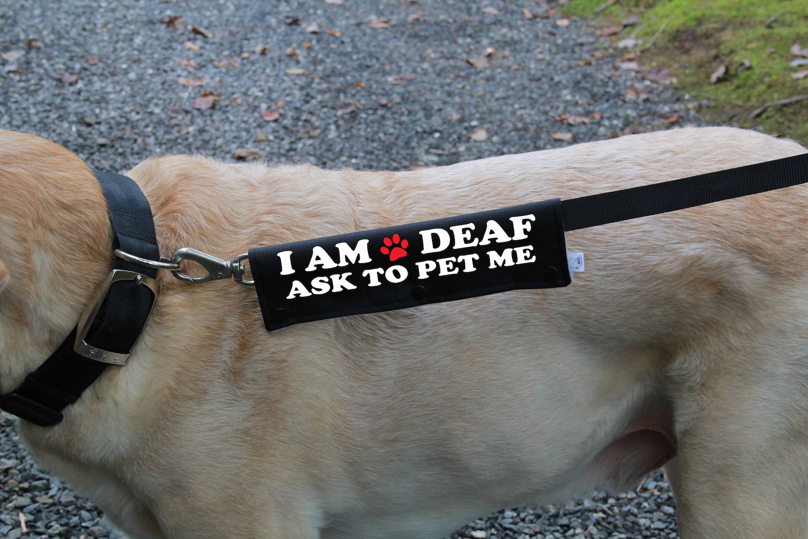 Leash sleeve or collar wrap Deaf Dog Leash wrap Multi Etsy