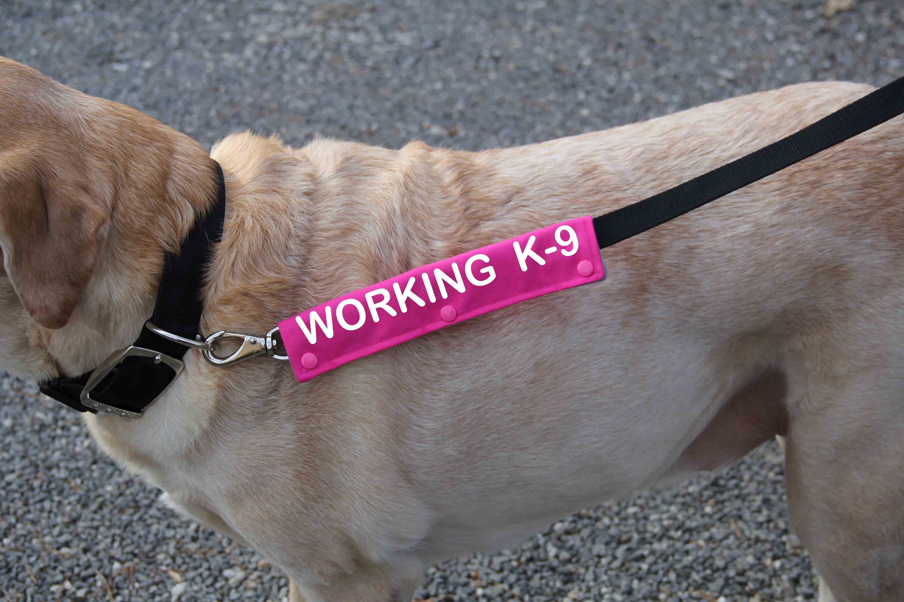WORKING K9 leash wrap Therapy Dog Gear Therapy Dog Alert Etsy 日本