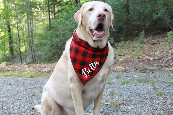personalized dog bandana collar